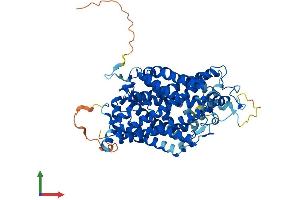 AlphaFold protein structure predicition of Mouse Recombinant Slc6a13 Protein, UniprotID P31649