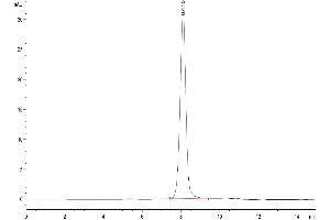 The purity of Biotinylated Human SIRP alpha V3 is greater than 95 % as determined by SEC-HPLC.
