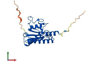 AlphaFold protein structure predicition of Human Recombinant ADAT2 Protein, UniprotID Q7Z6V5 (ADAT2 Protein (AA 1-191) (His tag))