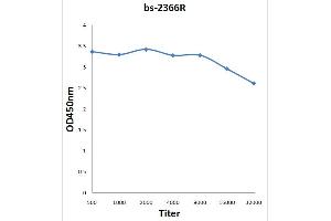 Antigen: 0. (HSD3B7 antibody  (AA 281-369))