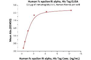 Immobilized Immunoglobulin E, Human Plasma at 5 μg/mL (100 μL/well) can bind Human Fc epsilon RI alpha, His Tag (ABIN2181075,ABIN2181074) with a linear range of 0. (Fc epsilon RI/FCER1A Protein (AA 26-205) (His tag))