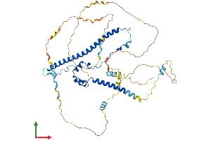 Protein Structure (PS) image for WAS Protein Family, Member 3 (WASF3) (AA 1-502) protein (His tag) (ABIN7545110)