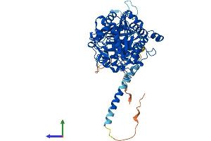 AlphaFold protein structure predicition of Mouse Recombinant Mtm1 Protein, UniprotID Q9Z2C5 (MTM1 Protein (AA 1-603) (His tag))