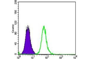 Flow cytometric analysis of MCF-7 cells using anti-DKK3 mAb (green) and negative control (purple). (DKK3 antibody)