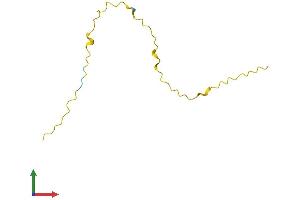 AlphaFold protein structure predicition of Human Recombinant KAAG1 Protein, UniprotID Q9UBP8 (KAAG1 Protein (AA 1-84) (Fc Tag))