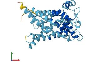 AlphaFold protein structure predicition of Human Recombinant SLC25A34 Protein, UniprotID Q6PIV7 (SLC25A34 Protein (AA 1-304) (His tag))