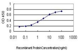 Detection limit for recombinant GST tagged TNFSF12 is approximately 0. (TWEAK antibody  (AA 49-134))