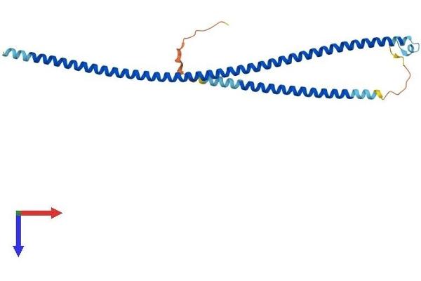 RABGAP1L Protein (AA 1-253) (His tag)