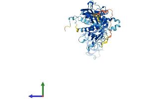 Protein Structure (PS) image for Purinergic Receptor P2X, Ligand-Gated Ion Channel, 7 (P2RX7) (AA 1-595) protein (His tag) (ABIN7554848)
