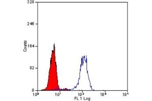 Staining of human peripheral blood granulocytes with MOUSE ANTI HUMAN CD101: RPE (ABIN119738). (CD101 antibody  (PE))