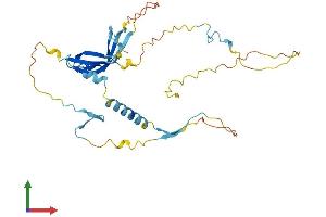 AlphaFold protein structure predicition of Mouse Recombinant Slc7a6os Protein, UniprotID Q7TPE5
