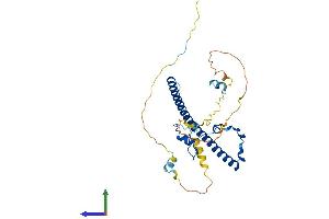 Protein Structure (PS) image for Thyrotrophic Embryonic Factor (TEF) (AA 1-303) protein (His tag) (ABIN7544208)