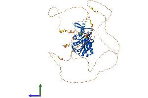 AlphaFold protein structure predicition of Mouse Recombinant Syn1 Protein, UniprotID O88935 (SYN1 Protein (AA 1-706) (His tag))