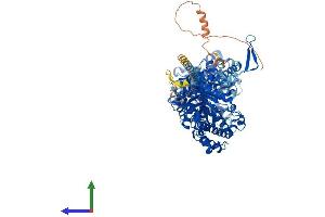 AlphaFold protein structure predicition of Mouse Recombinant Klb Protein, UniprotID Q99N32 (Klotho beta Protein (KLB) (AA 1-1043) (His tag))