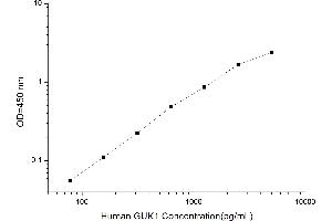 GUK1 ELISA Kit