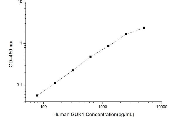 GUK1 ELISA Kit