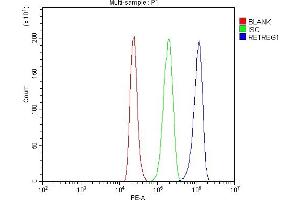 Flow Cytometry analysis of HL-60 cells using anti-RETREG1 antibody (ABIN7599962).