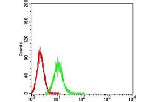 Flow cytometric analysis of K562 cells using CD87 mouse mAb (green) and negative control (red). (PLAUR antibody  (AA 23-305))