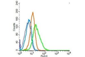 Human Raji cells probed with CD44 Polyclonal Antibody, Unconjugated  (green) at 1:100 for 30 minutes followed by a PE conjugated secondary antibody compared to unstained cells (blue), secondary only (light blue), and isotype control (orange). (CD44 antibody  (AA 701-742))