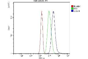 Flow Cytometry analysis of JK cells using anti-PD-L1 antibody (ABIN3043392). (PD-L1 antibody  (AA 45-290))