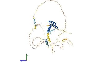 AlphaFold protein structure predicition of Mouse Recombinant Alx4 Protein, UniprotID O35137