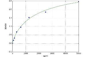 A typical standard curve (Netrin 4 ELISA Kit)