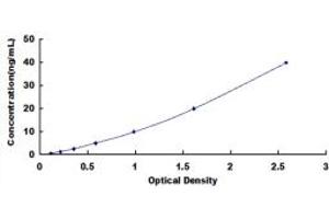 ALDH1A2 ELISA Kit