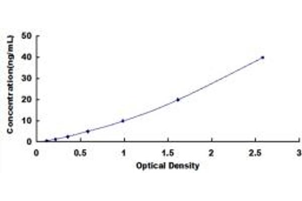 ALDH1A2 ELISA Kit