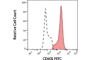 Separation of human CD62L positive lymphocytes (red-filled) from CD62L negative lymphocytes (black-dashed) in flow cytometry analysis (surface staining) of human peripheral whole blood stained using anti-human CD62L (LT-TD180) FITC antibody (20 μL reagent / 100 μL of peripheral whole blood). (L-Selectin antibody  (FITC))