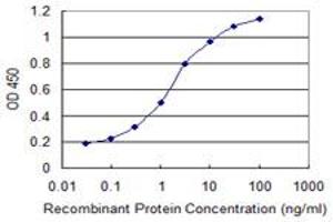 Detection limit for recombinant GST tagged COMMD1 is 0. (COMMD1 antibody  (AA 1-190))
