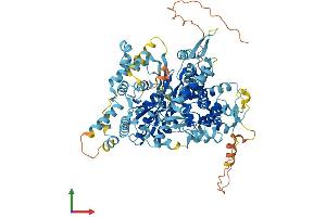 Protein Structure (PS) image for Glycerol-3-Phosphate Acyltransferase 2, Mitochondrial (GPAT2) (AA 1-795) protein (His tag) (ABIN7554035)