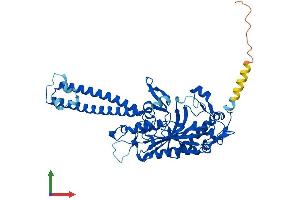 Protein Structure (PS) image for Seryl-tRNA Synthetase (SARS) (AA 1-512) protein (His tag) (ABIN7563020)