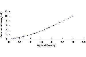 Typical standard curve (CEBPB ELISA Kit)