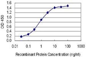 Detection limit for recombinant GST tagged HTR2B is 0. (Serotonin Receptor 2B antibody  (AA 1-56))