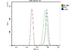 Flow Cytometry analysis of U20S cells using anti-IL2 Receptor beta/p75/IL2RB antibody (ABIN7600988).