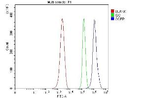 Flow Cytometry analysis of ANA-1 cells using anti-Ogfr antibody (ABIN7600657).