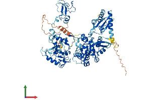 AlphaFold protein structure predicition of Mouse Recombinant G2e3 Protein, UniprotID Q5RJY2