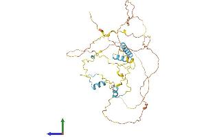 AlphaFold protein structure predicition of Human Recombinant S100PBP Protein, UniprotID Q96BU1 (S100PBP Protein (AA 1-408) (His tag))
