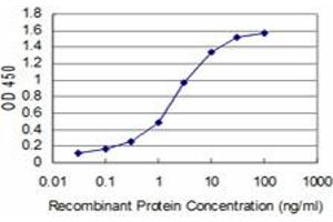 Detection limit for recombinant GST tagged BOLL is approximately 0. (BOLL antibody  (AA 185-283))