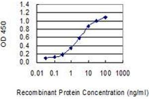 Detection limit for recombinant GST tagged GAST is 0. (Gastrin antibody  (AA 1-101))