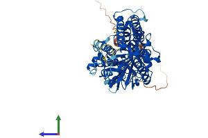 Protein Structure (PS) image for Spermine Oxidase (SMOX) (AA 1-555) protein (His tag) (ABIN7546212)
