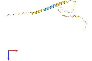 Saitohin (STH) (AA 1-128) protein (His tag)