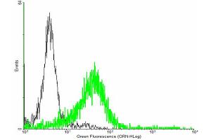 FACS analysis of negative control 293 cells (Black) and RGS6 expressing 293 cells (Green) using RGS6 purified MaxPab mouse polyclonal antibody. (RGS6 antibody  (AA 1-472))