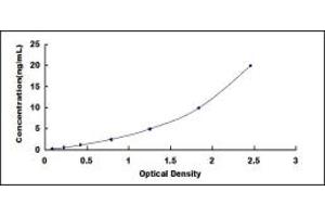 HMGCR ELISA Kit