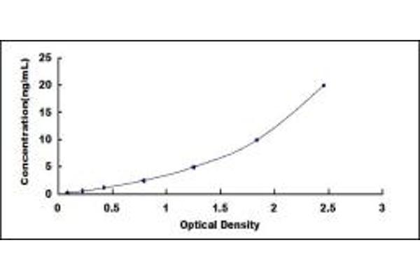 HMGCR ELISA Kit