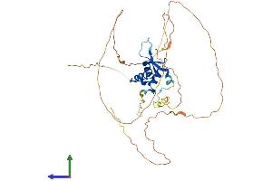 Protein Structure (PS) image for Forkhead Box F1 (FOXF1) (AA 1-379) protein (His tag) (ABIN7547711)