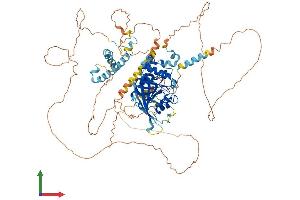 AlphaFold protein structure predicition of Mouse Recombinant Tgs1 Protein, UniprotID Q923W1