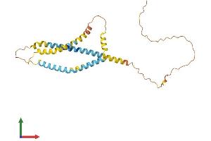 AlphaFold protein structure predicition of Human Recombinant SPATA9 Protein, UniprotID Q9BWV2