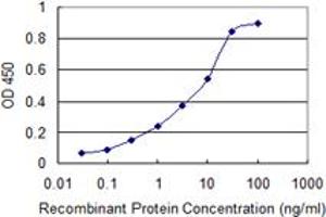 Detection limit for recombinant GST tagged SRD5A2 is 0. (SRD5A2 antibody  (AA 28-65))