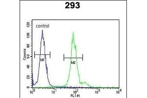 ID4 Antibody (N-term) (ABIN653935 and ABIN2843167) flow cytometric analysis of 293 cells (right histogram) compared to a negative control (left histogram).